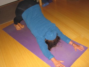 IMG_1652-YOGA-Chezem3-me-Ddog