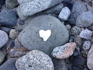 IMG_0520-ROCKS w WHITE HEART